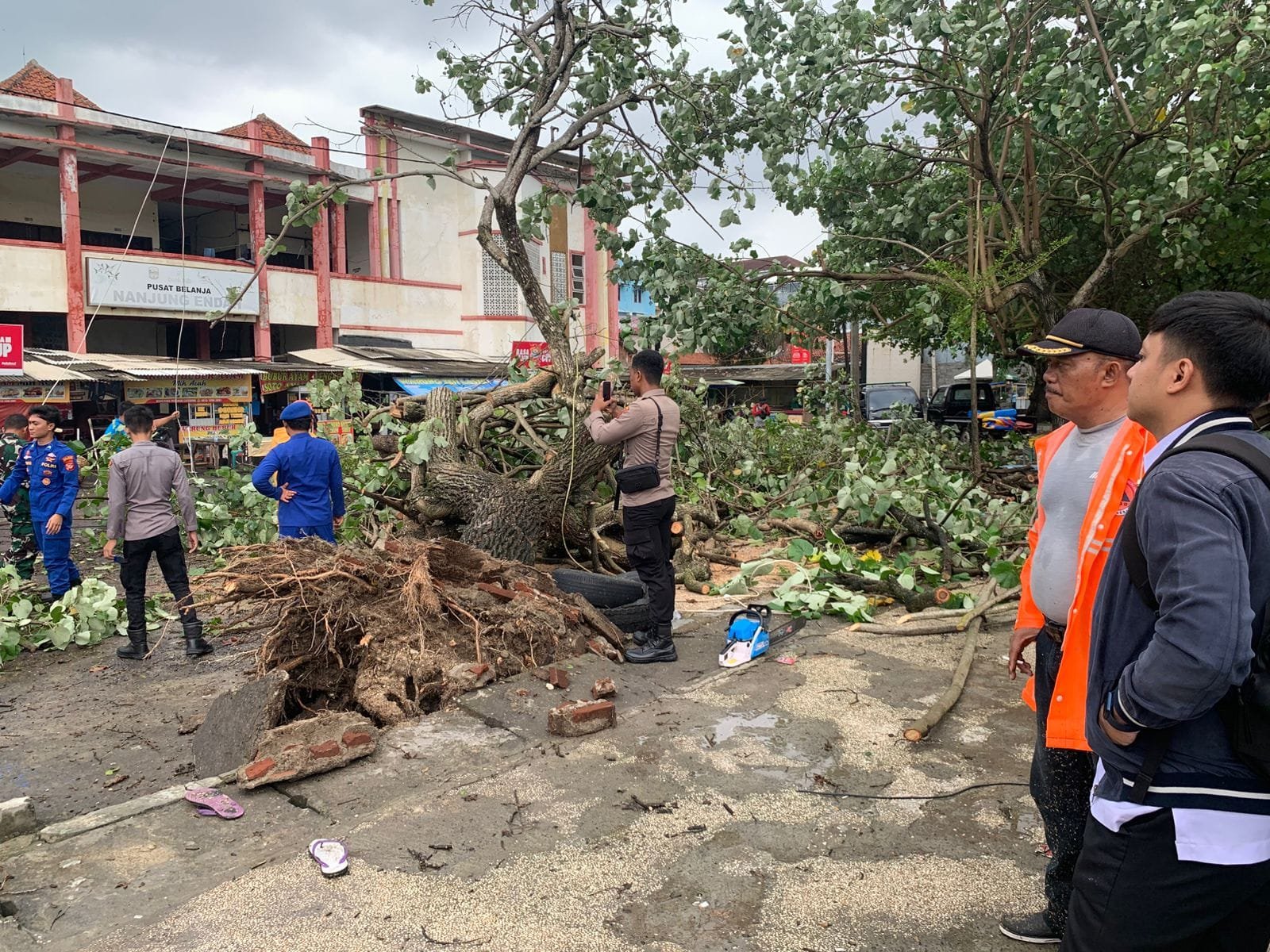 Satbinmas Polres Pangandaran Evakuasi Pohon Tumbang di Pantai Timur
