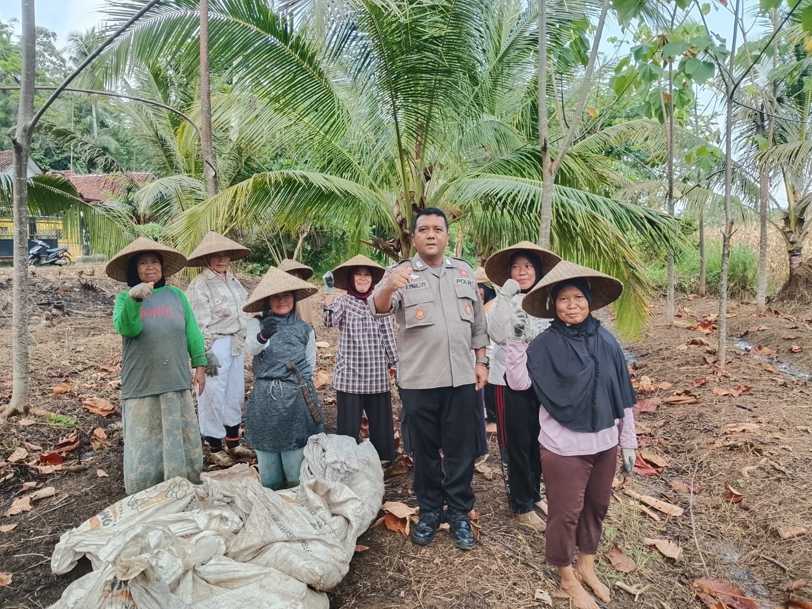 Satbinmas Polres Pangandaran Turun ke Kebun, Panen Jagung Bersama Warga Desa Sindangsari