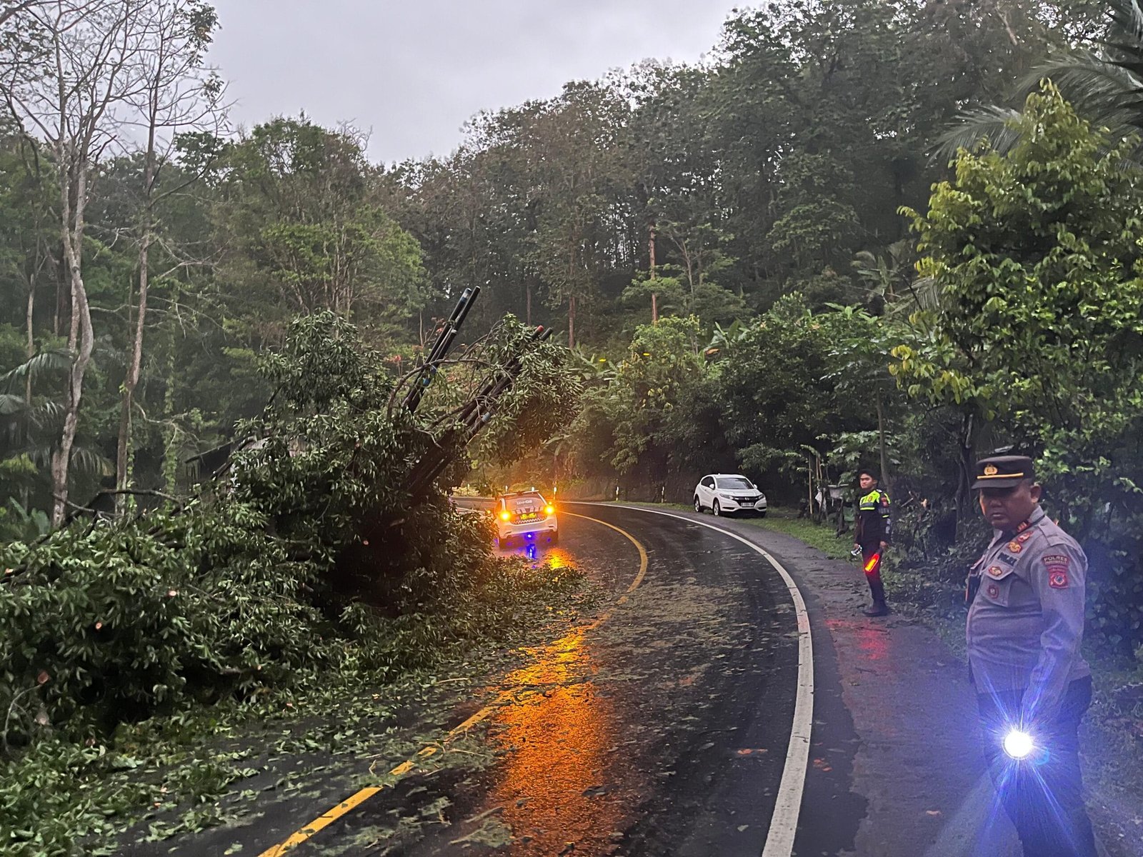 Evakuasi Pohon Tumbang