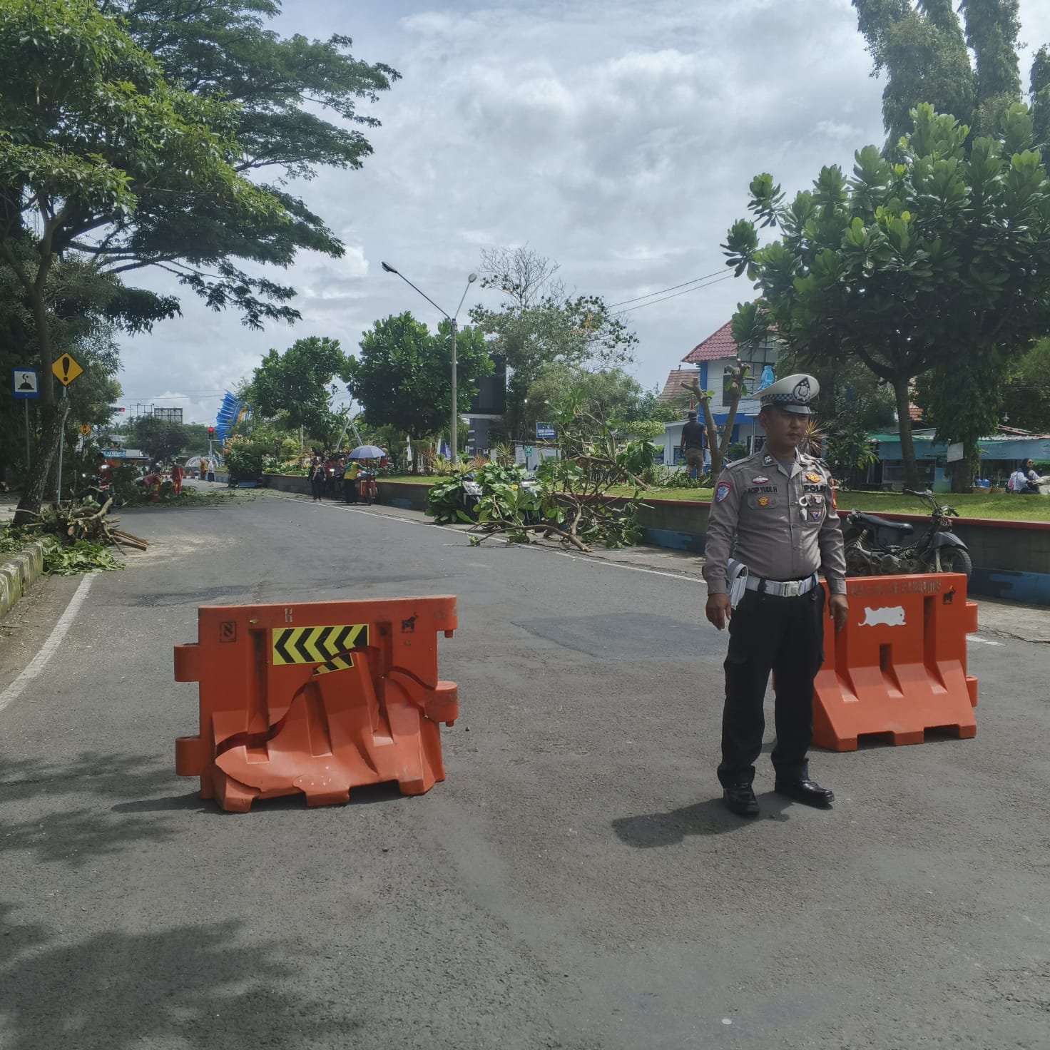 PENGATURAN ARUS POHON TUMBANG