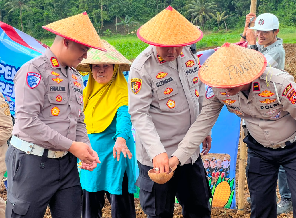 PENANAMAN JAGUNG
