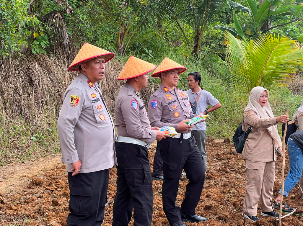 PENANAMAN JAGUNG