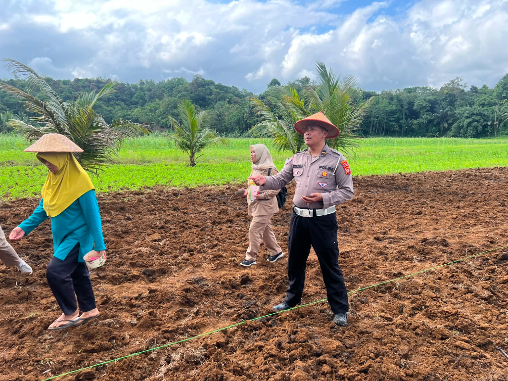 PENANAMAN JAGUNG