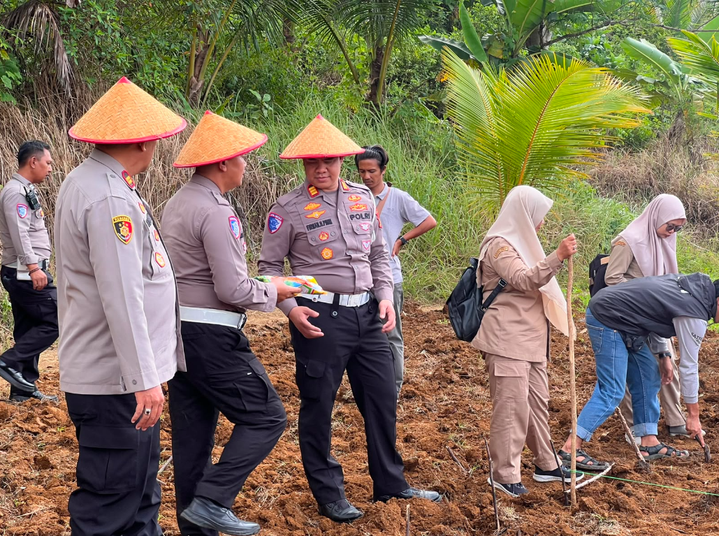 PENANAMAN JAGUNG