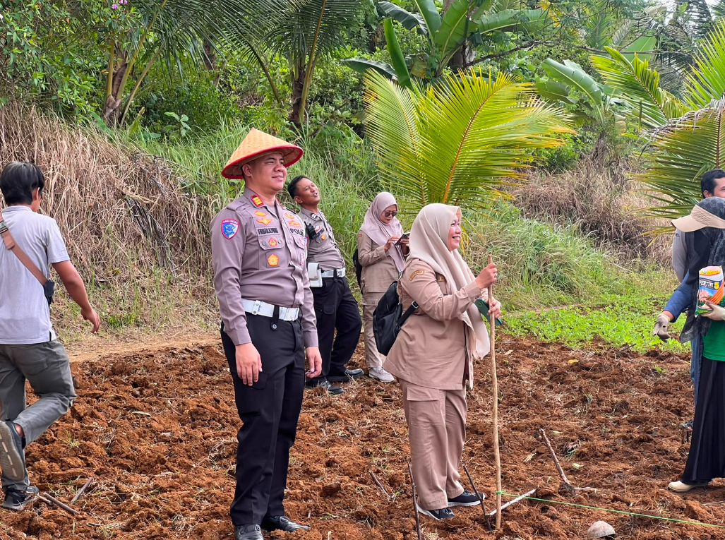 PENANAMAN JAGUNG