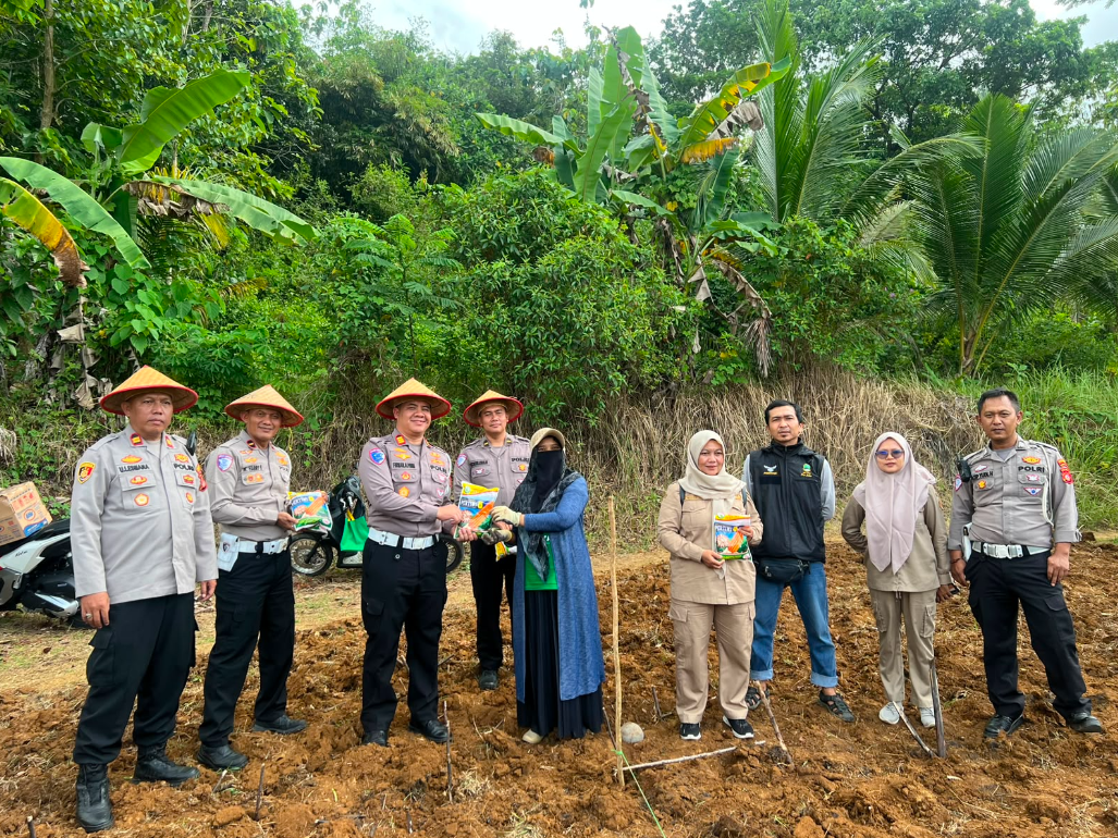PENANAMAN JAGUNG