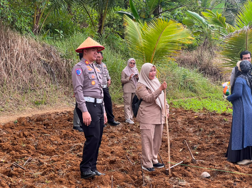 PENANAMAN JAGUNG