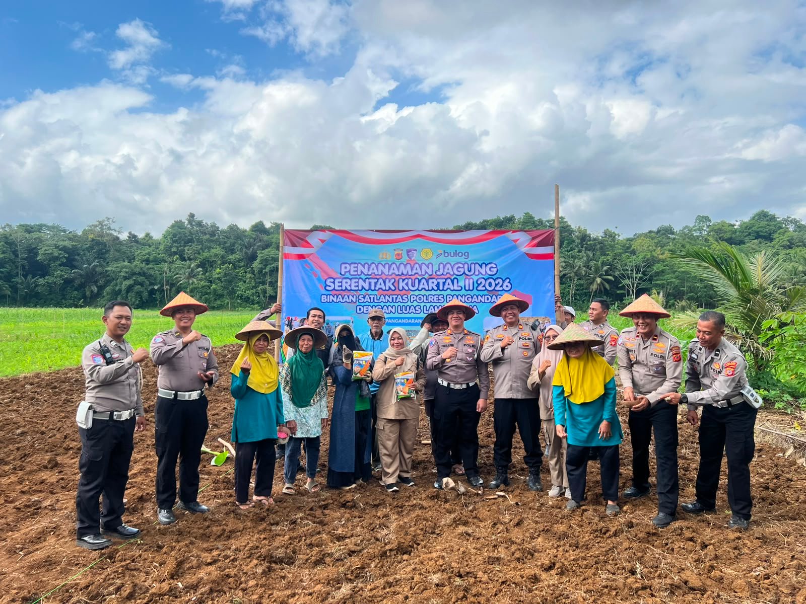 TANAM JAGUNG