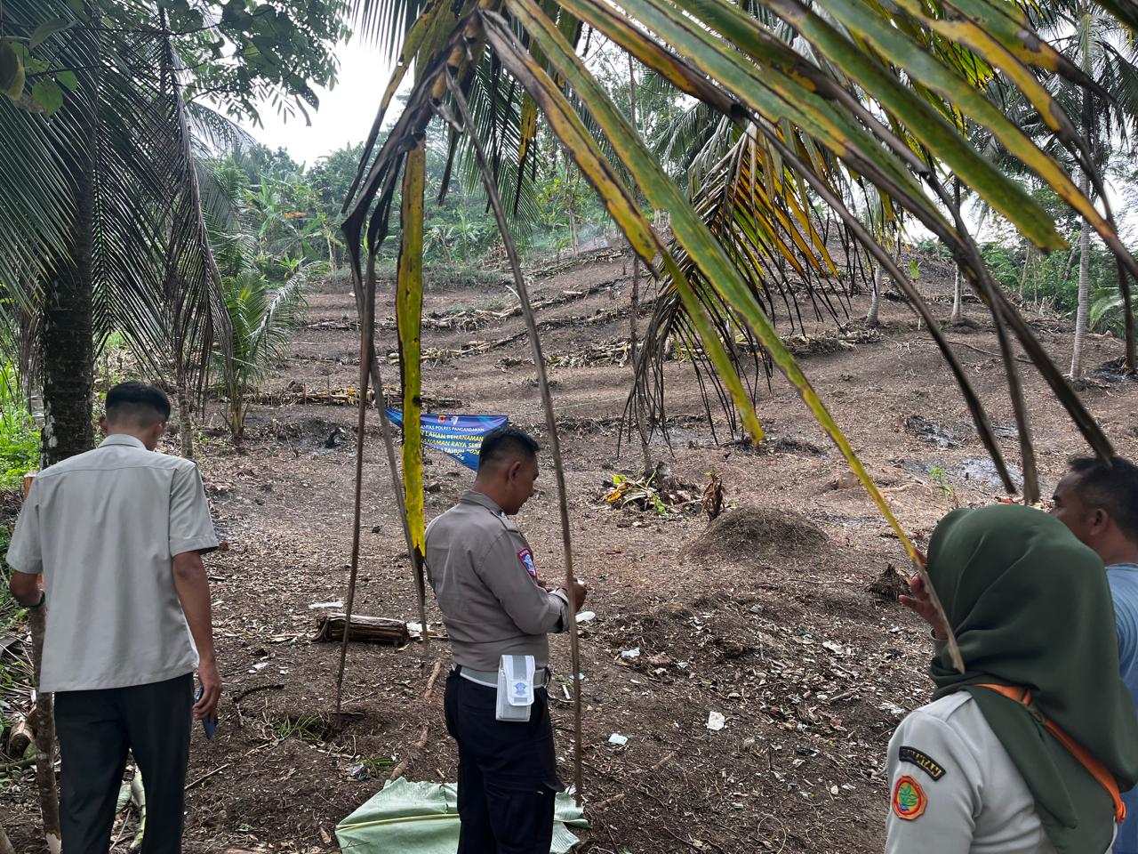 PENANAMAN JAGUNG