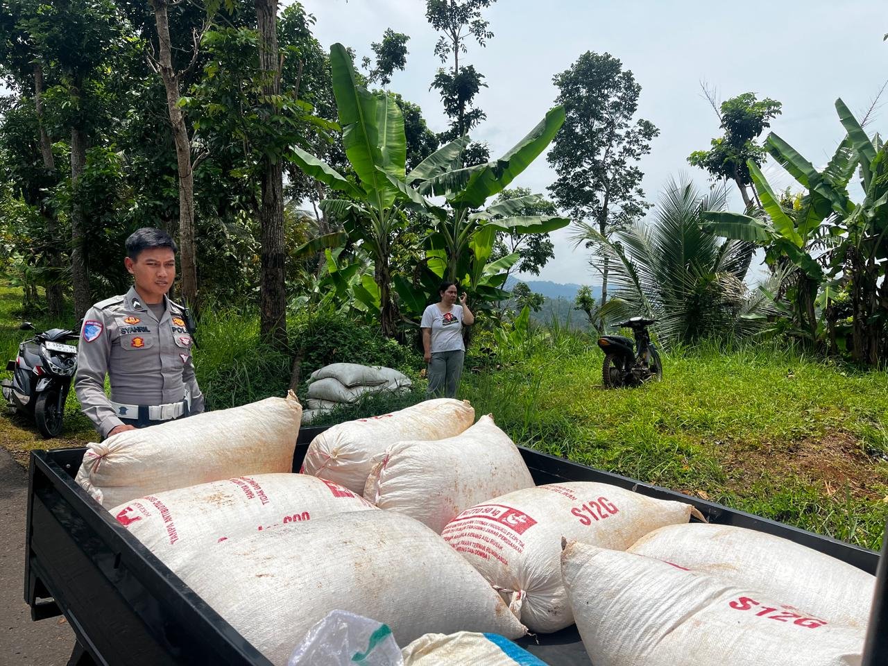 PENANAMAN JAGUNG
