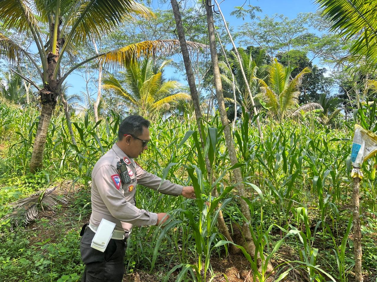 Kelompok Tani Perkuat
