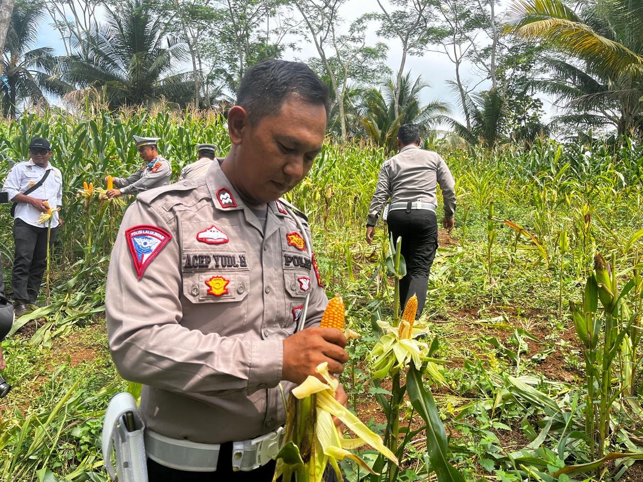 Perkuat Ketahanan Pangan